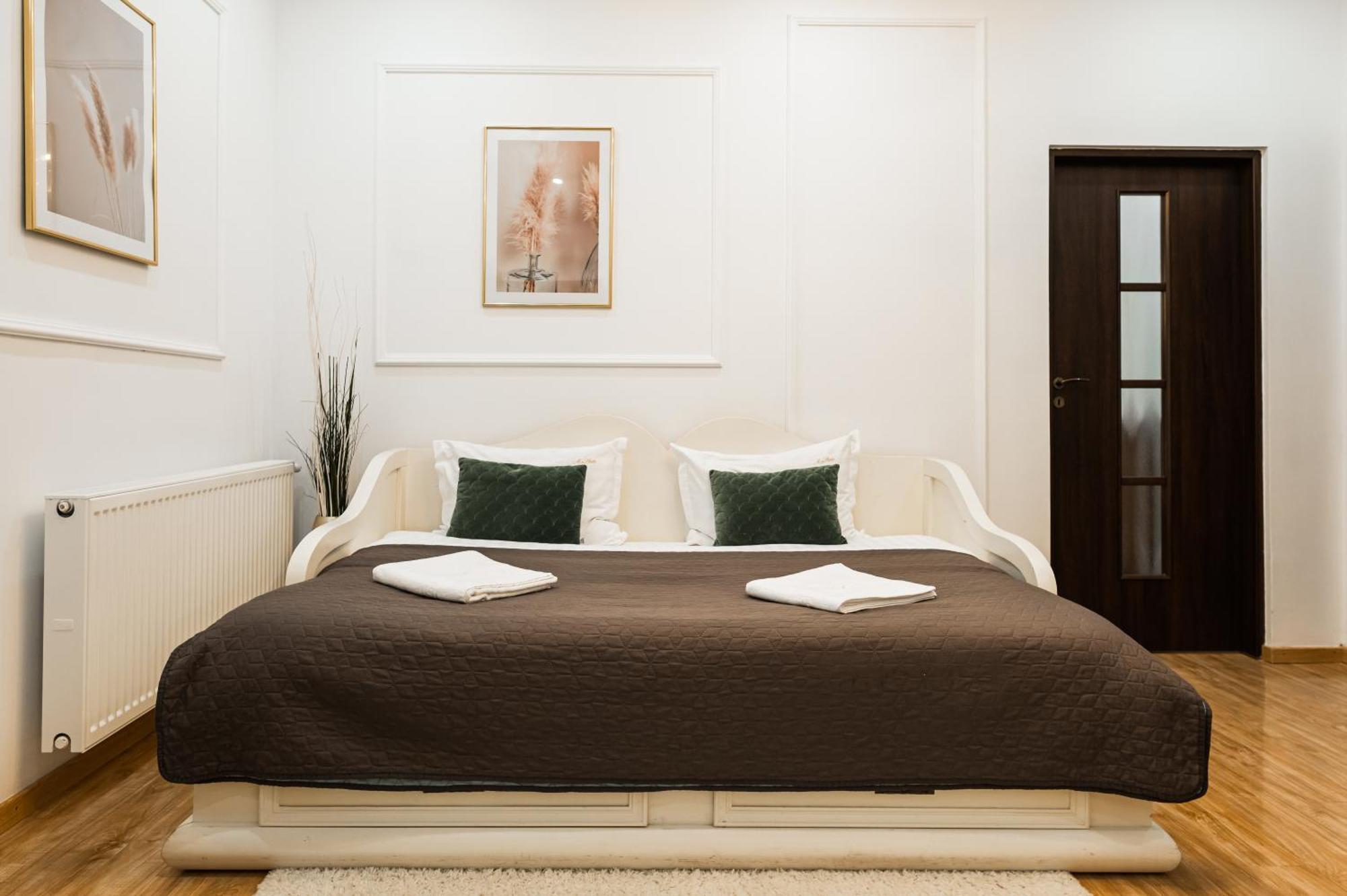 브라쇼브 Apollonia Estate Old Town Big And Luxurious 아파트 외부 사진