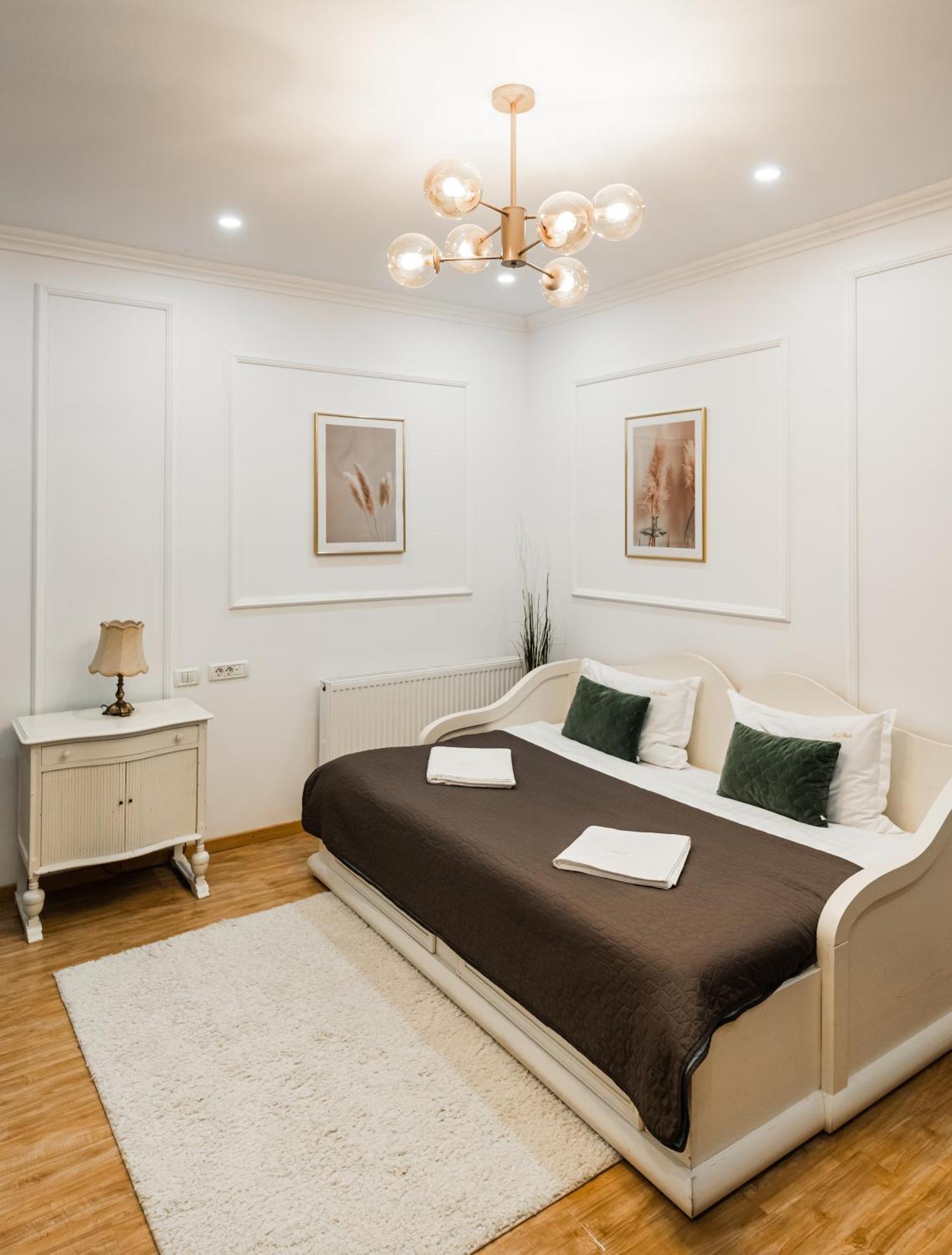 브라쇼브 Apollonia Estate Old Town Big And Luxurious 아파트 외부 사진
